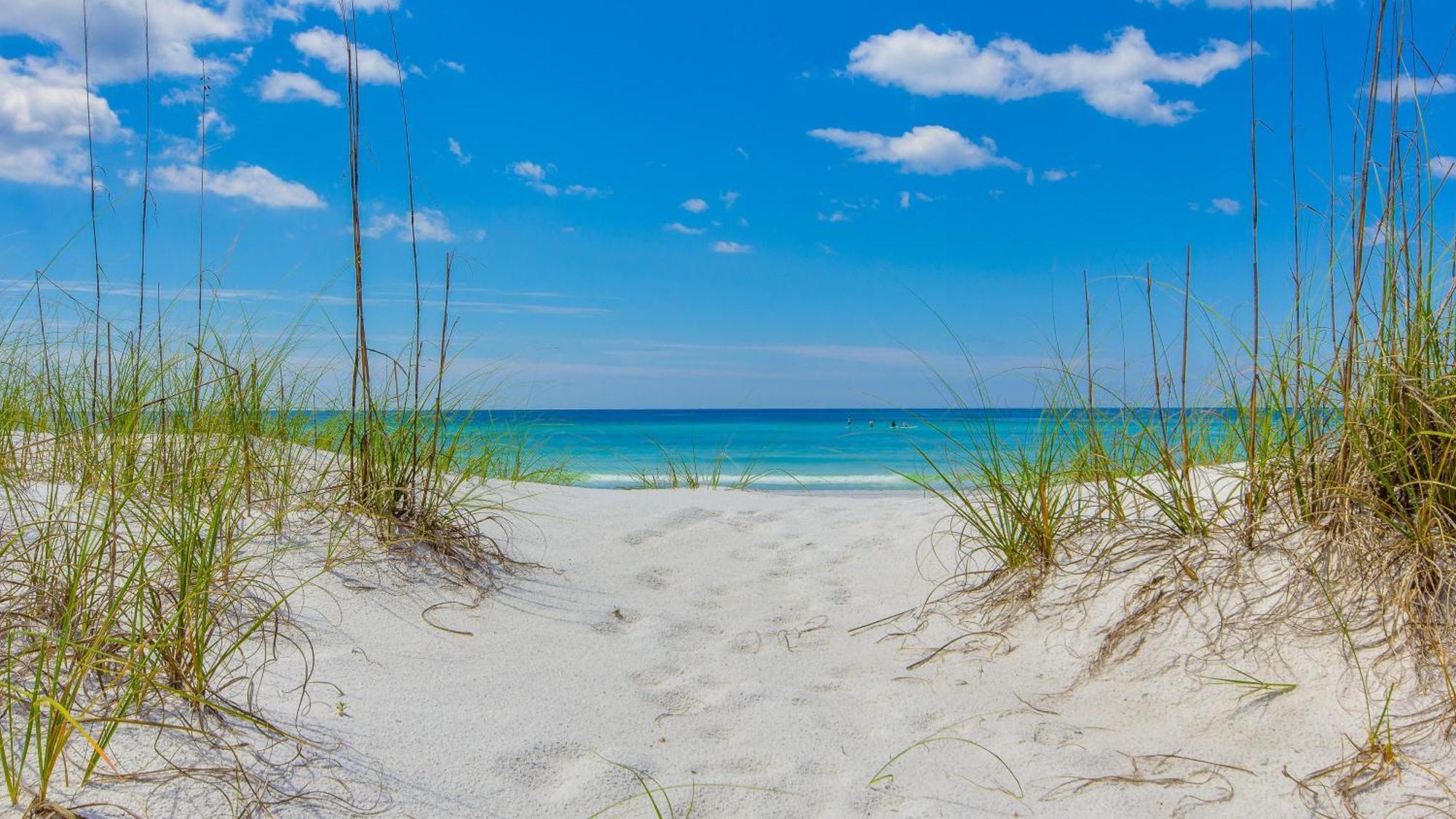 Another Slice Of Paradise