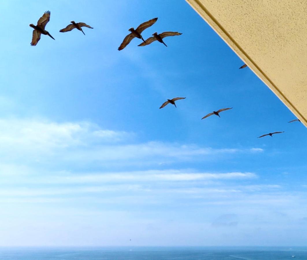 Apartment Just Updated - Beachfront Ocean View, 19th Floor