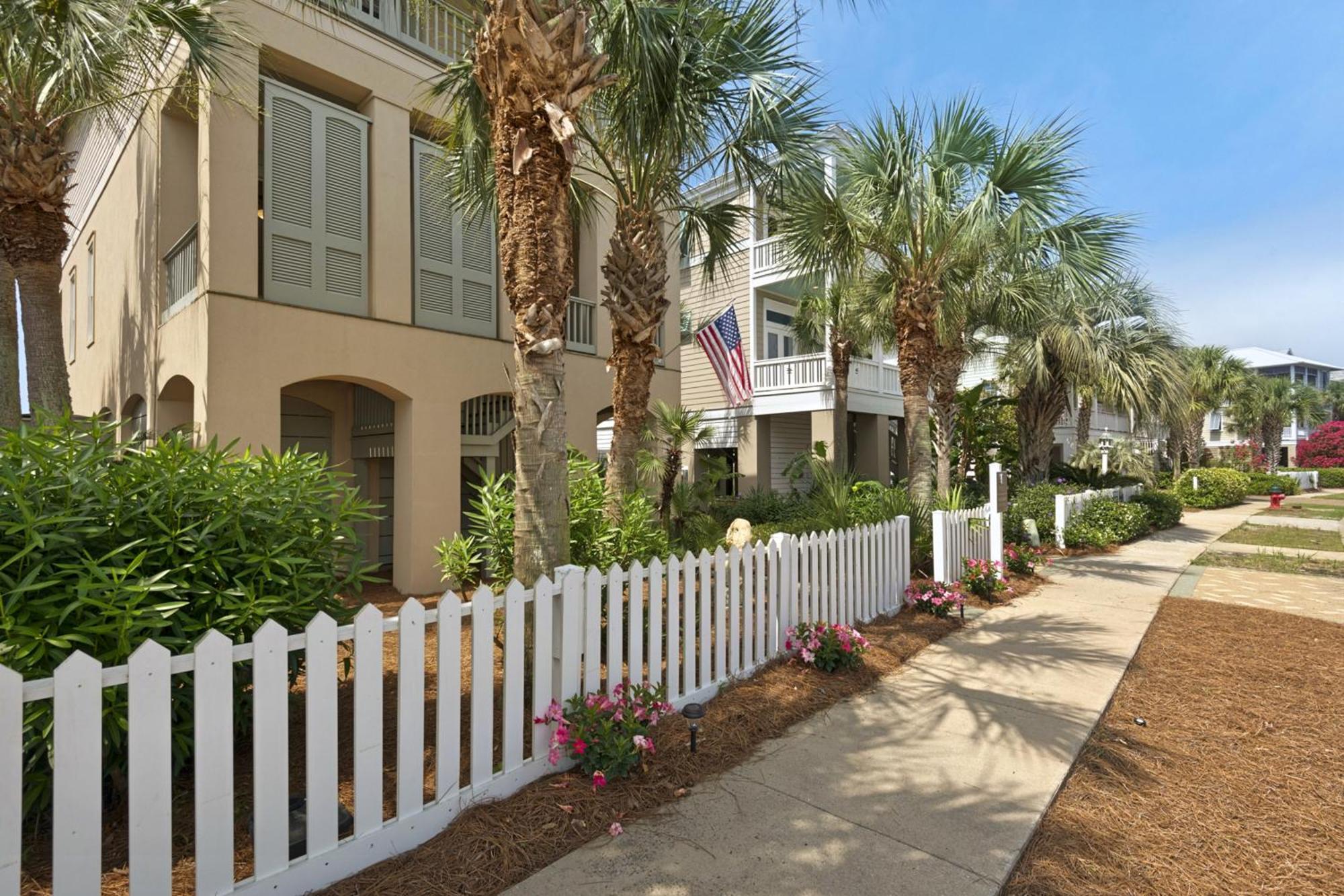 Palmetto