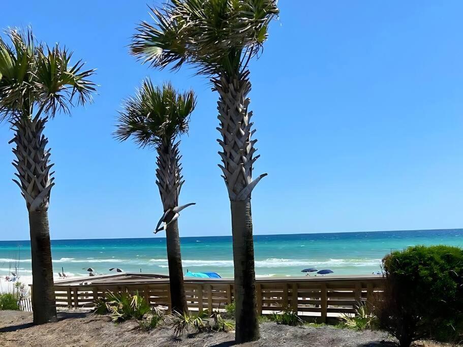 Salted Tranquility At The Palms Of
