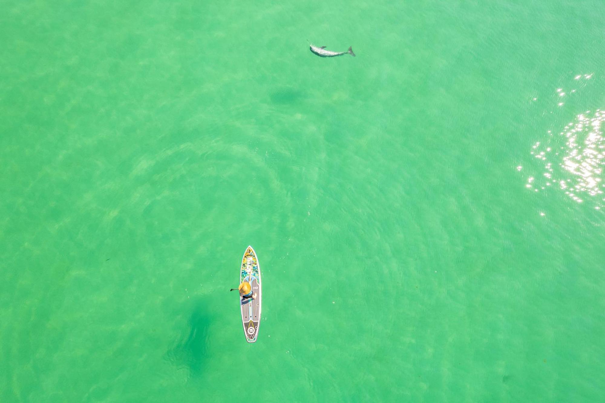 Apartment Inlet Reef 412- By Holiday Isle Destin