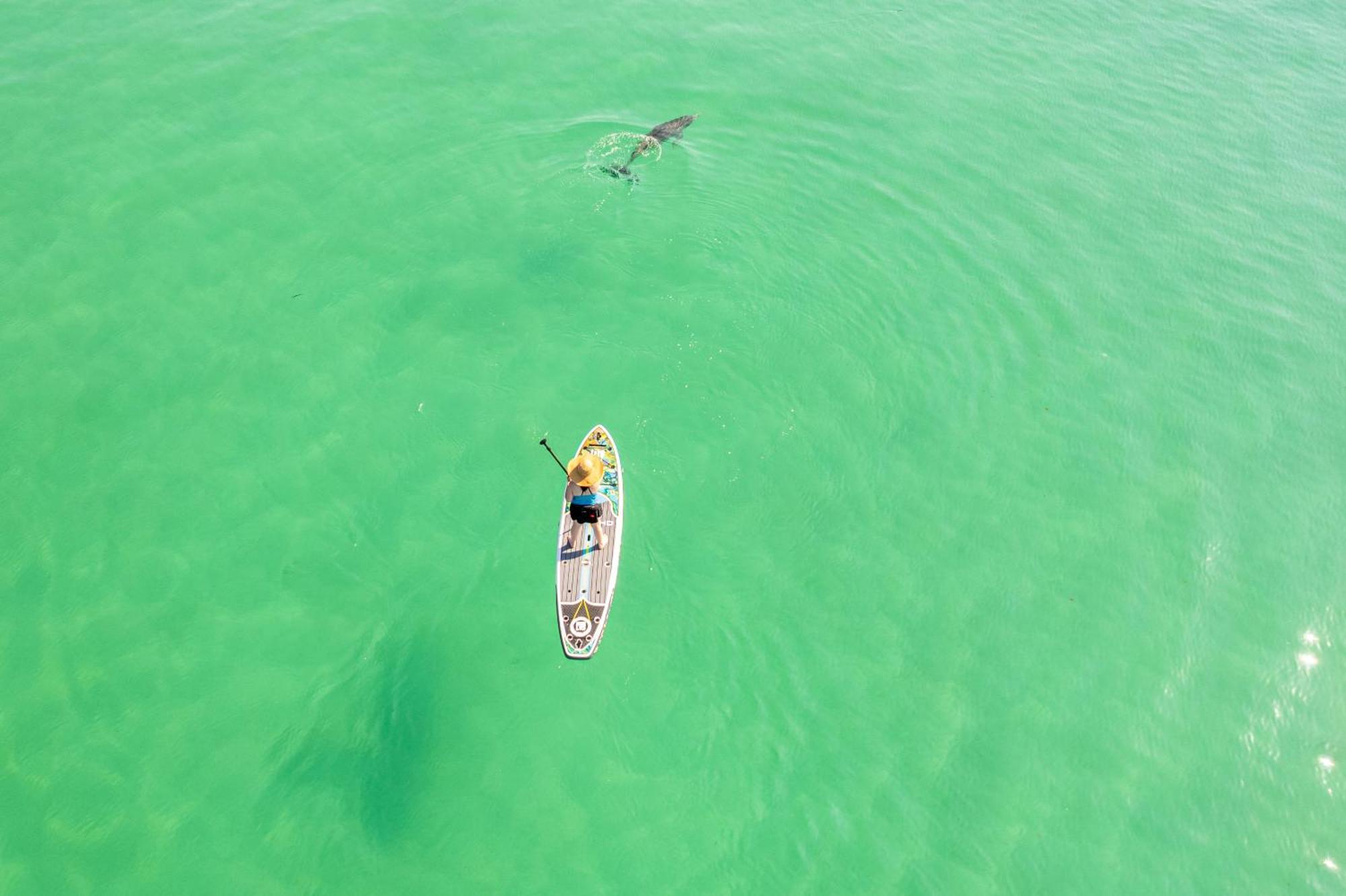Inlet Reef 412- By Holiday Isle