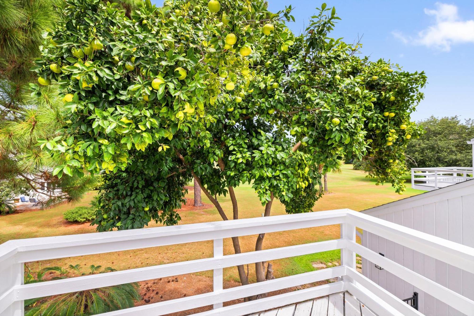 418 Linkside Drive *