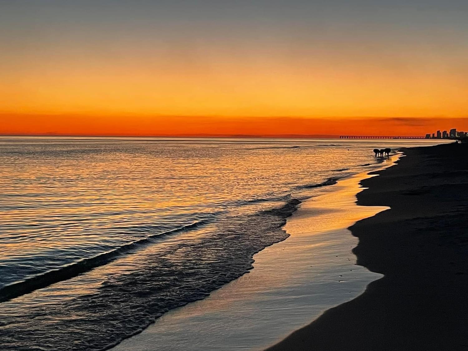 100 Gulf Shore Drive, Unit 502 * Destin