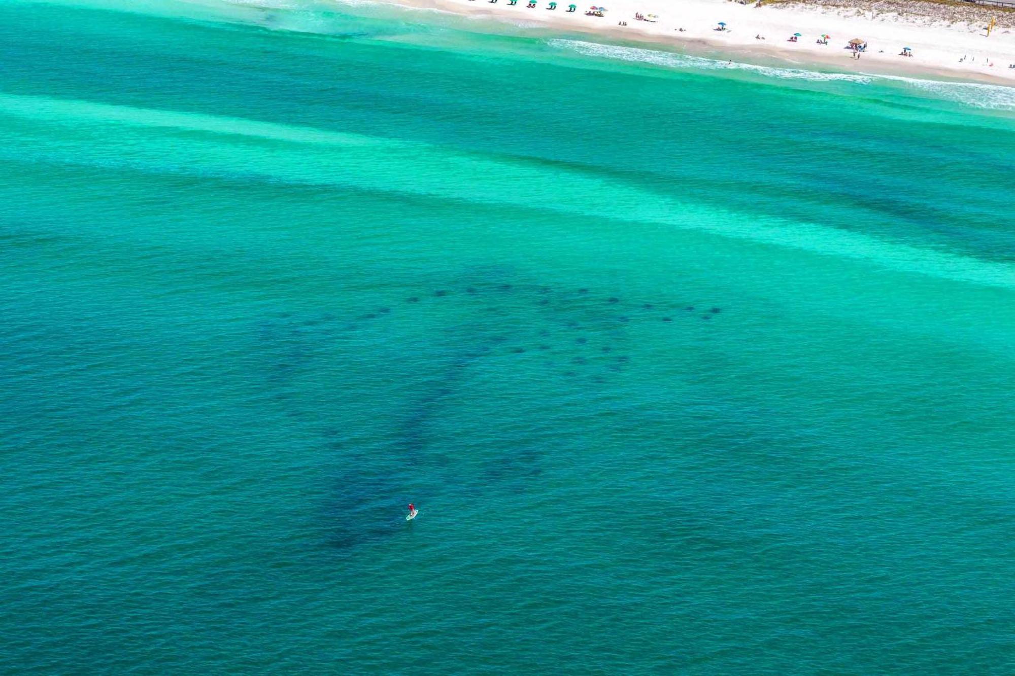 Maravilla 3202 Destin