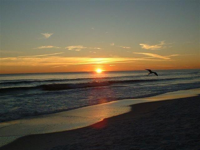 Ariel Dunes Ii 1701 Destin