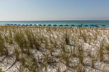 Apartment Surf & Racquet Club 416 By Realjoy