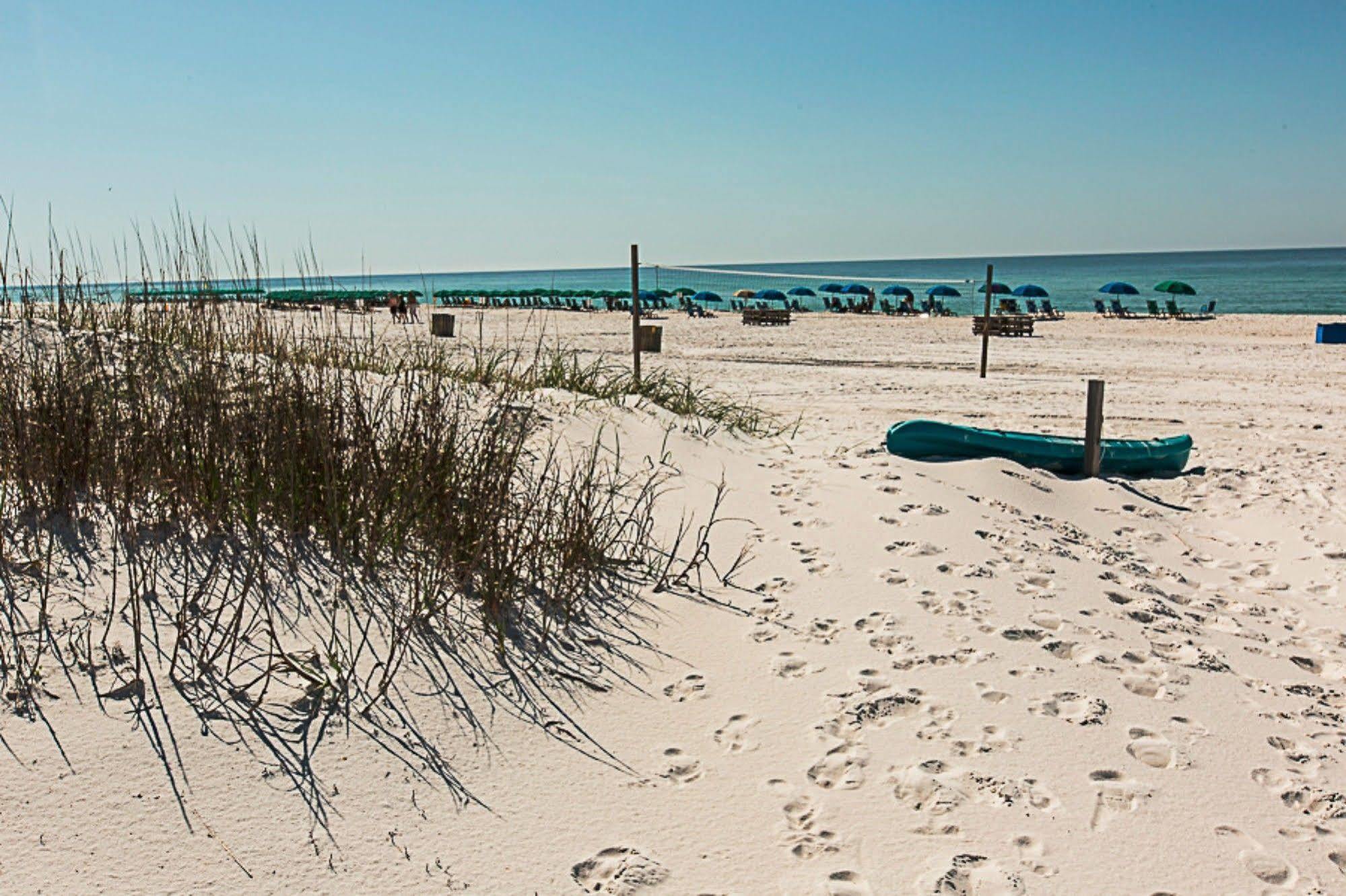 Silver Dunes By Isle